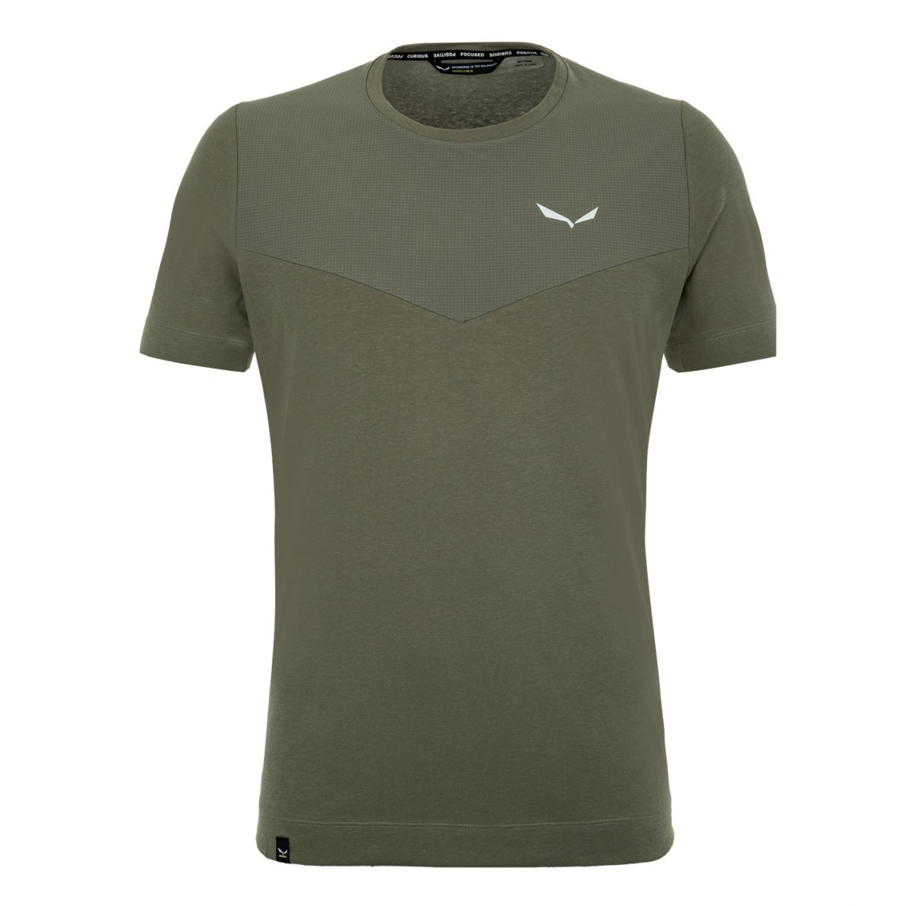 Salewa Alpine Hemp Erkek T-Shirts Kahverengi Türkiye 874619RHE